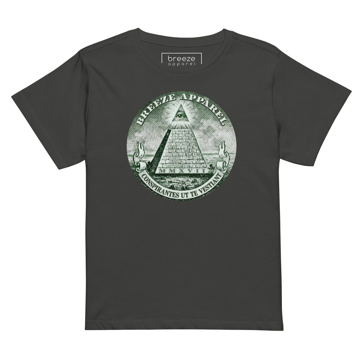 Gray t-shirt with graphic resembling pyramid on US one-dollar bill.